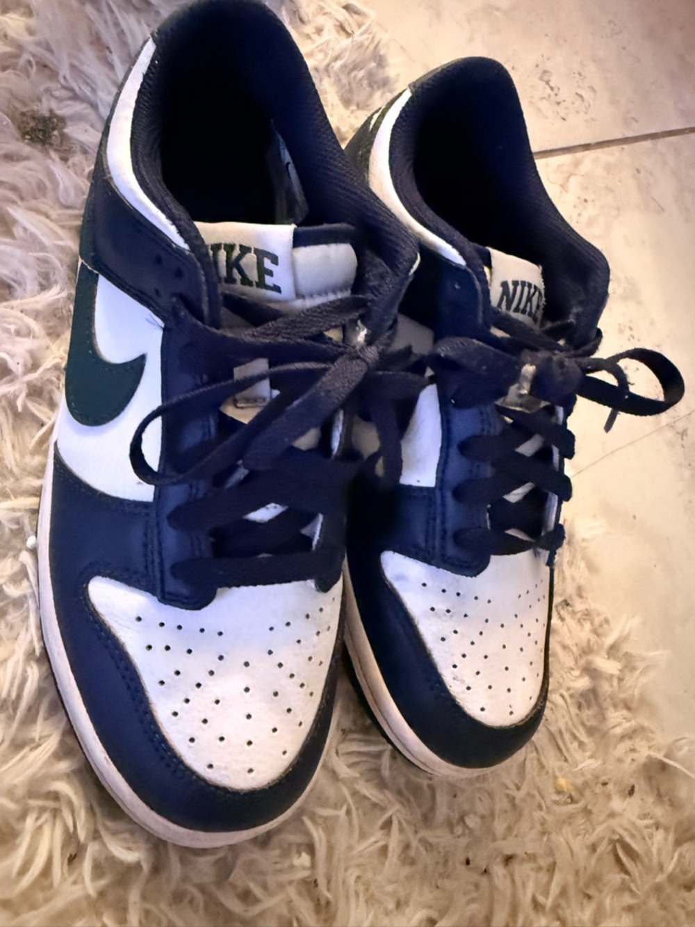Nike Navy, White & Green Low-Top Sneakers 5.5 Youth
